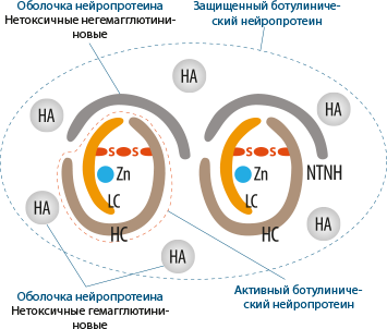 Формула Ботулакс